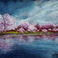 Cherry Tree Spring Reflection