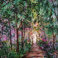 Rainbow Path